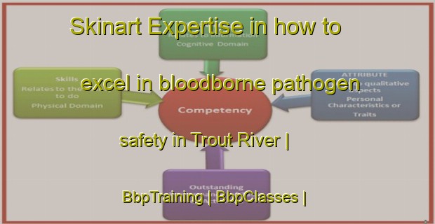 Skinart Expertise in how to excel in bloodborne pathogen safety in Trout River | BbpTraining | BbpClasses | SkinartTraining-Canada
